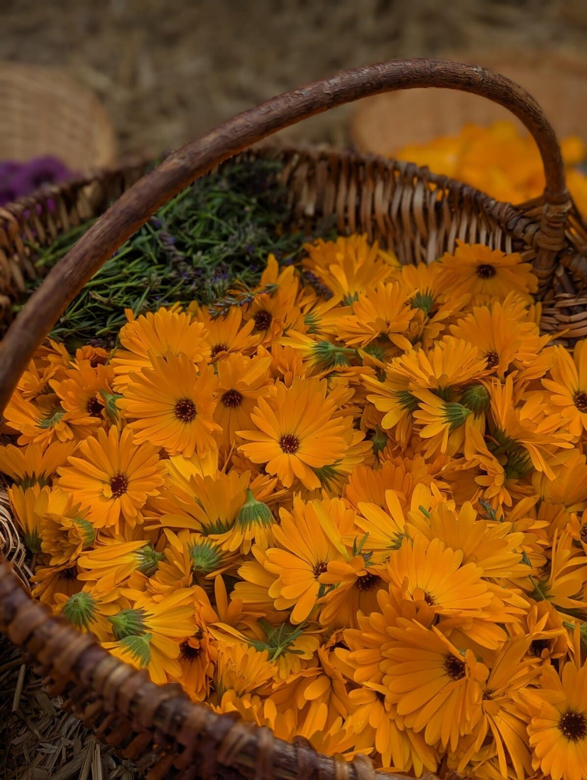 Ondine, Huile démaquillante – Image 3